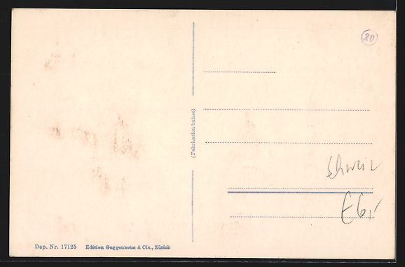 Cartoline postali: AK Ermatingen, Ortsansicht mit Seeblick – Usato da Berlin venduto da bartko-reher 1