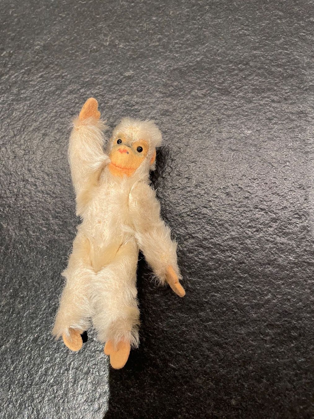 Steiff Giocattoli: Steiff Affe aus weissem Plüsch – Usato da Aarau venduto da waldrast 1