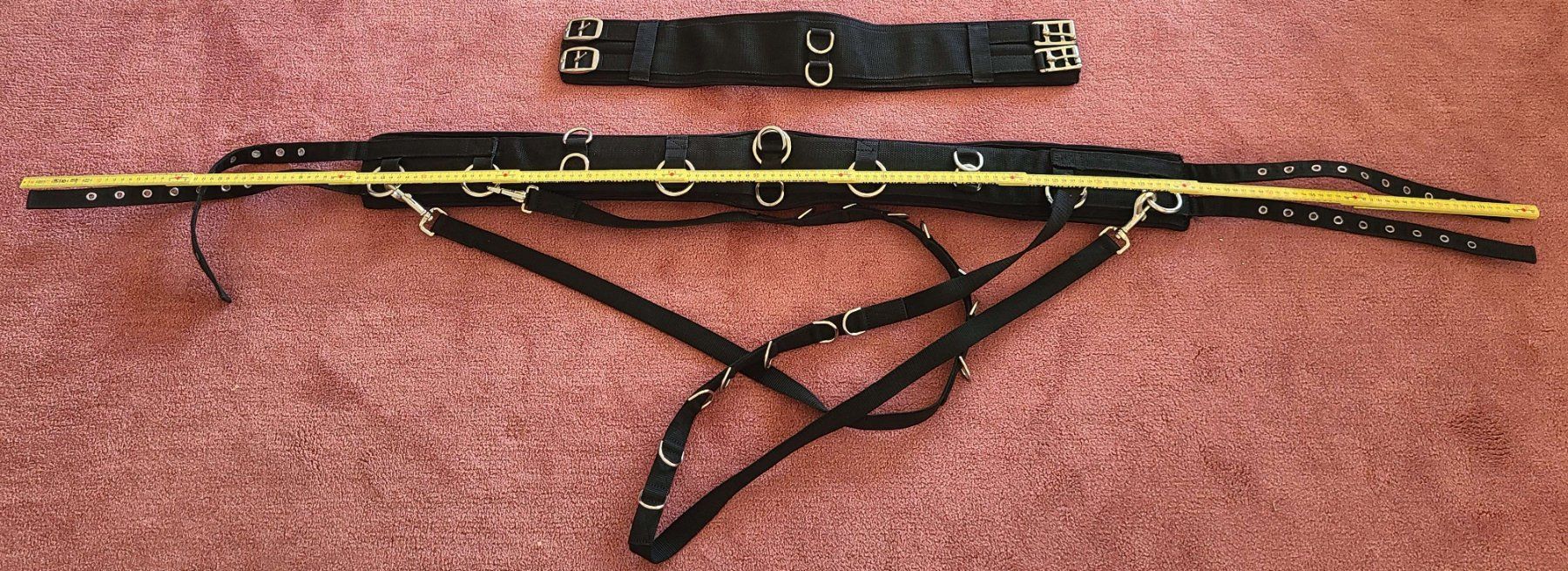 Selle & Accessori: Longiergurte mit vielen Ringen – Nuovo (secondo la descrizione) da Villmergen venduto da Treasure0