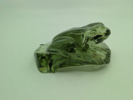 Kosta Boda Glasfrosch Frosch Laubfrosch