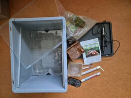 Brut-set Schildkröte