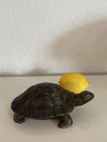 Bronze, Schildkröte sehr Detailreich