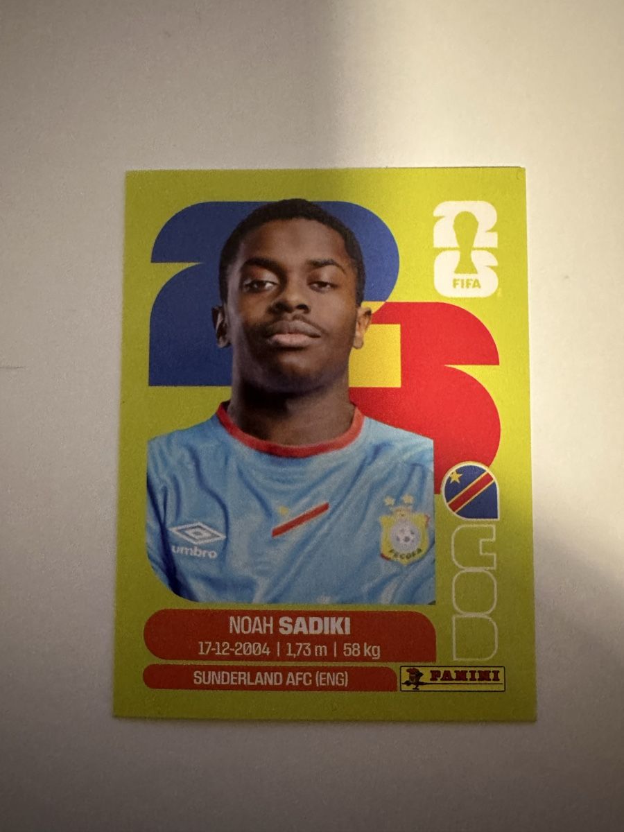 Panini Carte collezionabili: Carte FIFA Panini Noah Sadiki  – Usato da Reconvilier venduto da aythecK