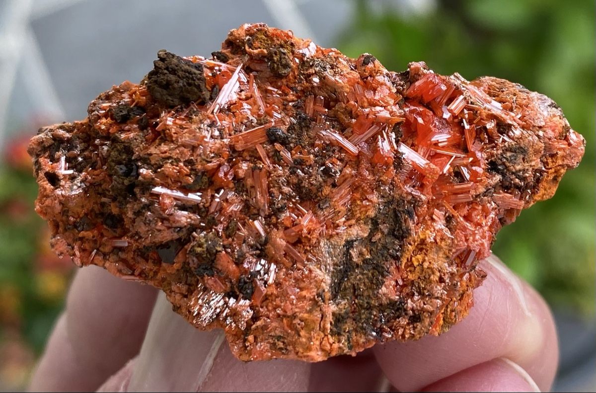 Mineralien & Heilsteine: Top Stück Krokoit  – Gebraucht aus Selzach von 321compac 3