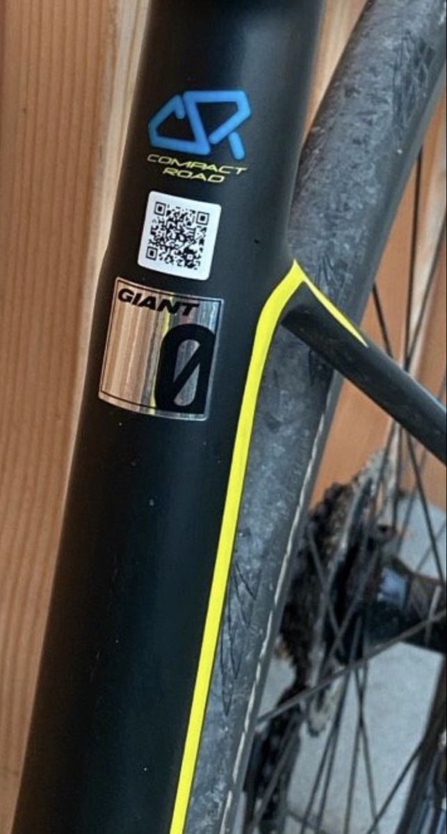 Giant Velos: Defy Advanced Pro O in M/L – Gebraucht aus Zürich von leo_9zg7 2