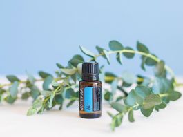 Doterra Air Öl 15ml - Befreie deine Atemwege im Winter!