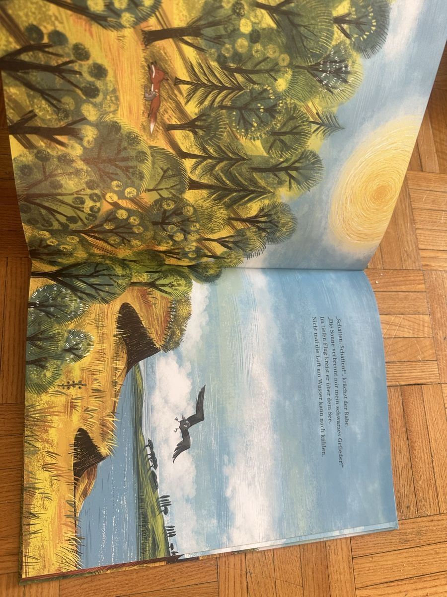 Libri: Im Sommerwald Daniela Kulot – Usato da Uster venduto da bek_v2ct 3
