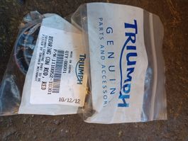 Triumph