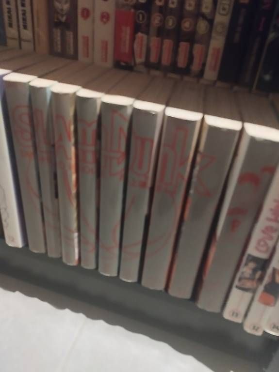 Livres: slam dunk star édition  – D'occasion à Mont-sur-Lausanne par uly_td77