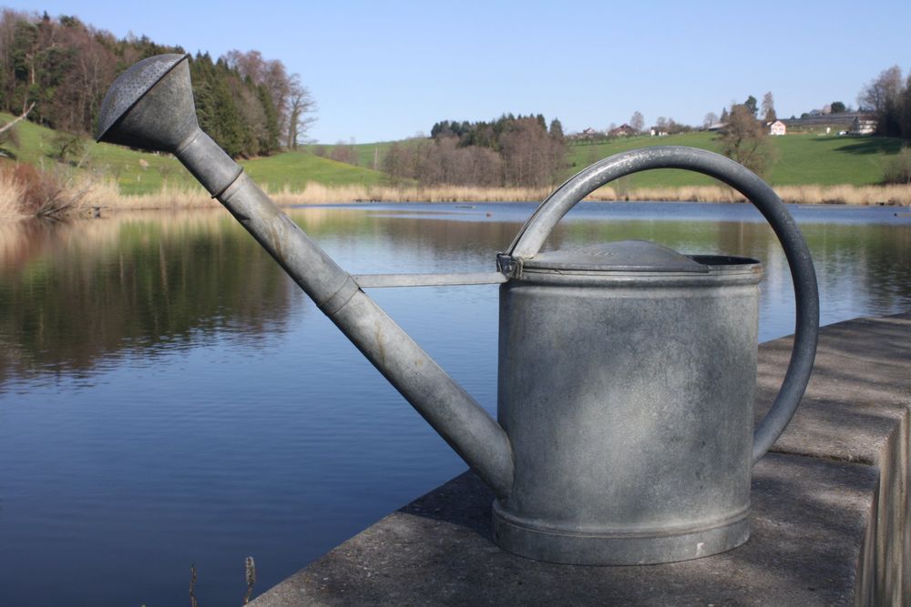 HOME IT Gießkanne 10L Verzinkt - Robuste Stahlkanne Mit Abnehmbarer Brause