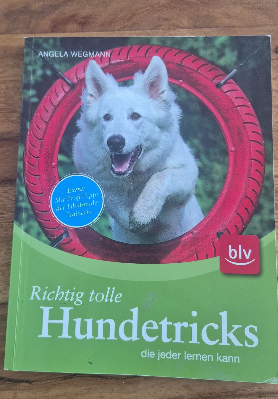 Libri: Buch Hundetricks von Angela Wegmann – Usato da Bern venduto da Isabelle20
