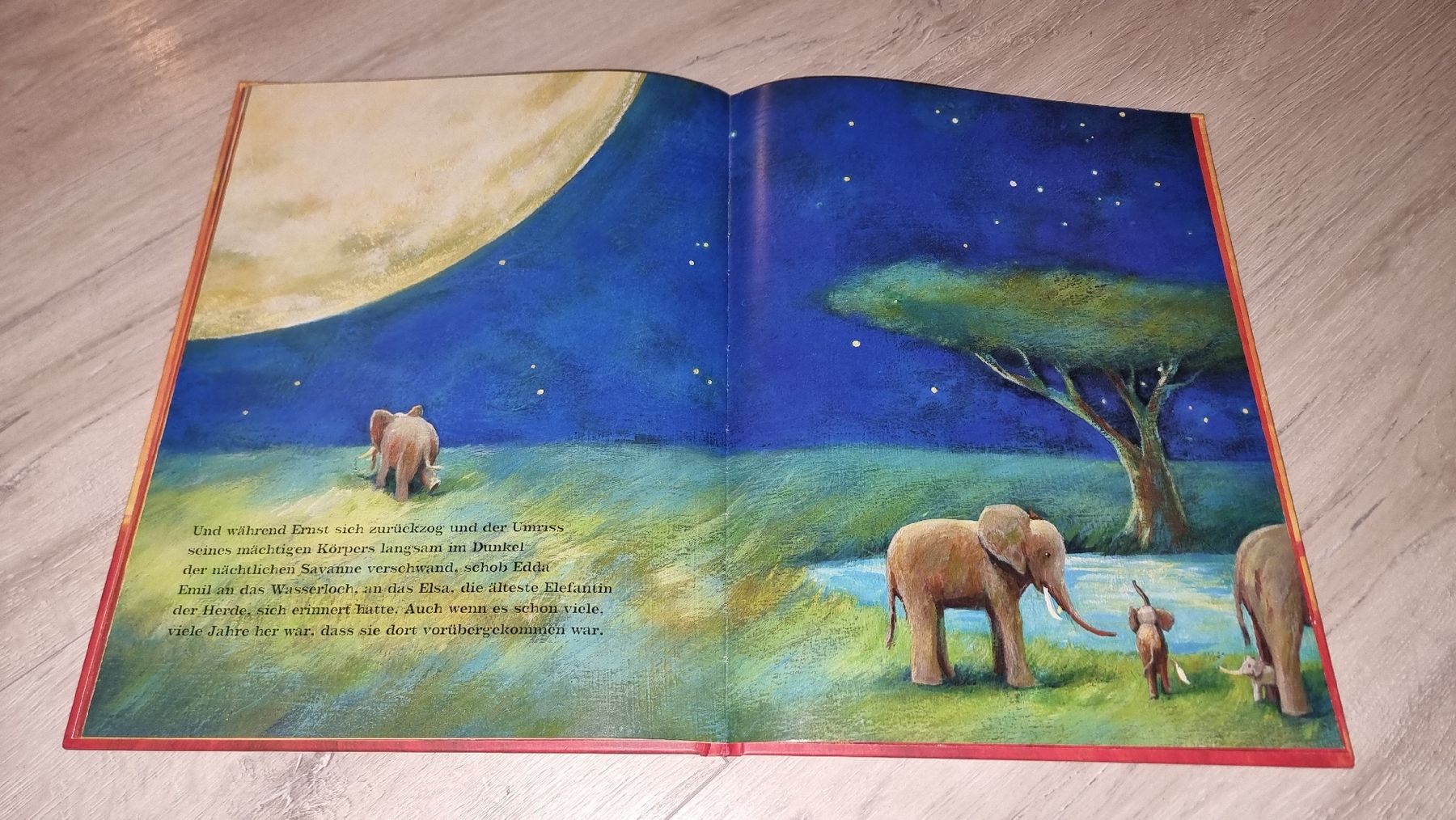 Libri: Emil Elefantenkind  schöner Zustand  – Usato da Wigoltingen venduto da Zuckerfee84 4