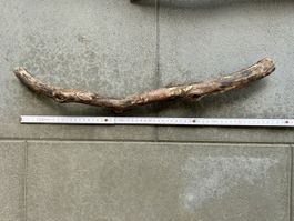 Schwimmholzstück 56 cm / 3-4 cm Stärke