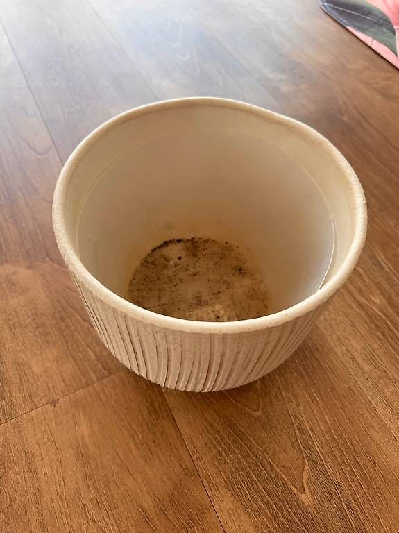 Vase & Récipients: Blumenvase 22cm – D'occasion à Othmarsingen par Bianchi05 1