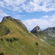 Profile image of Federscharnier