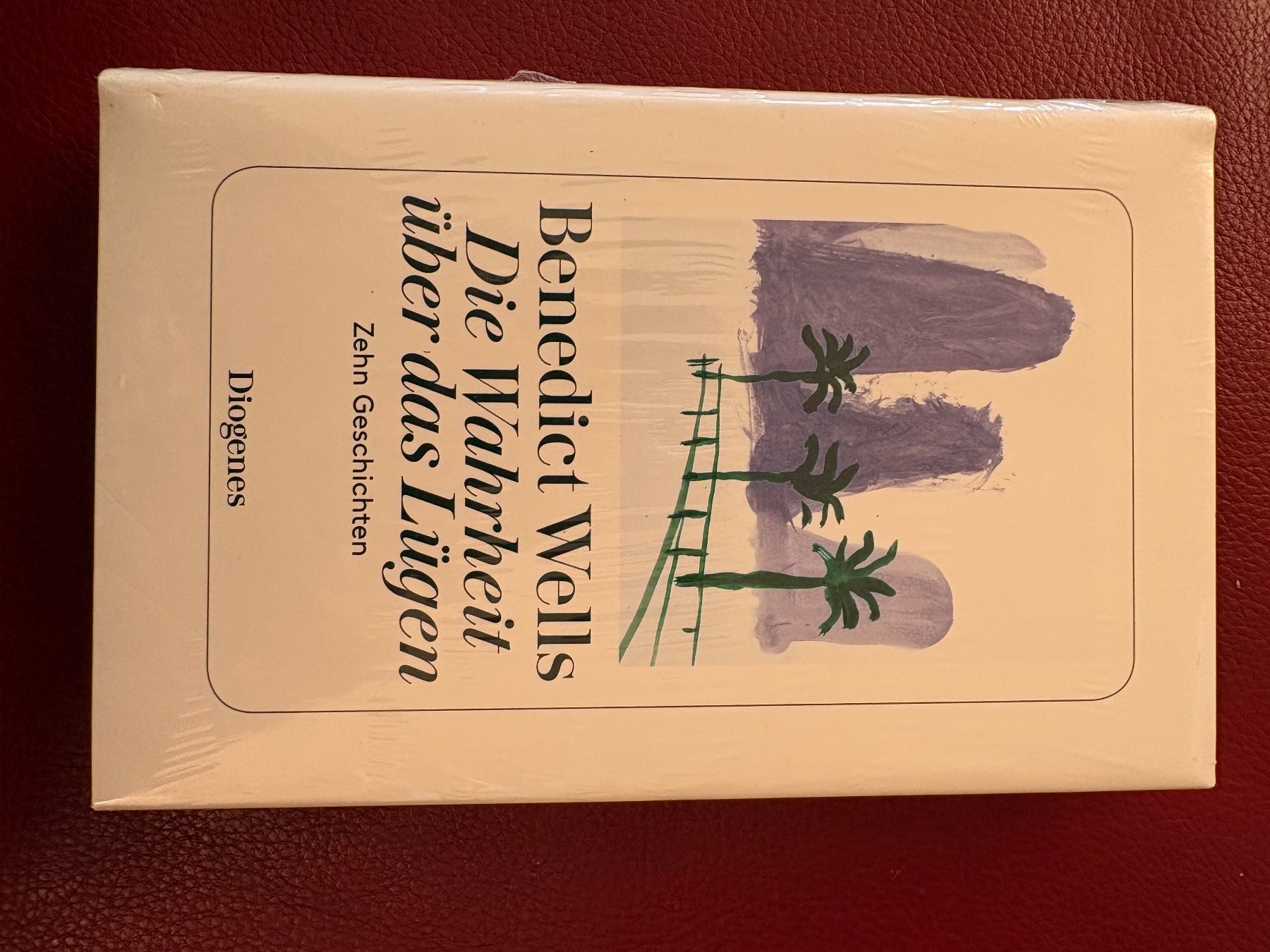 Libri: 5x Benedict Wells – Usato da Oberweningen venduto da Gerini 6