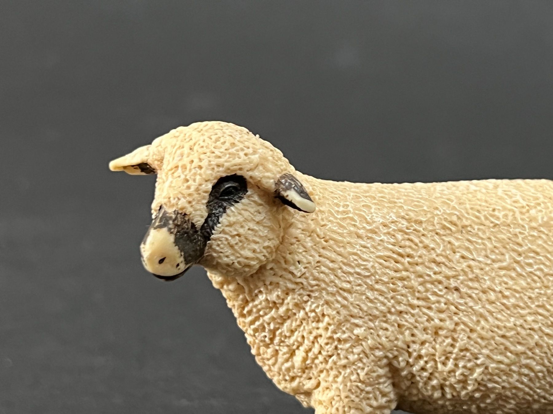 Schleich Figuren: Schleich 13681 Shropshire Schaf – Gebraucht aus Ennetbaden von mapa05 3