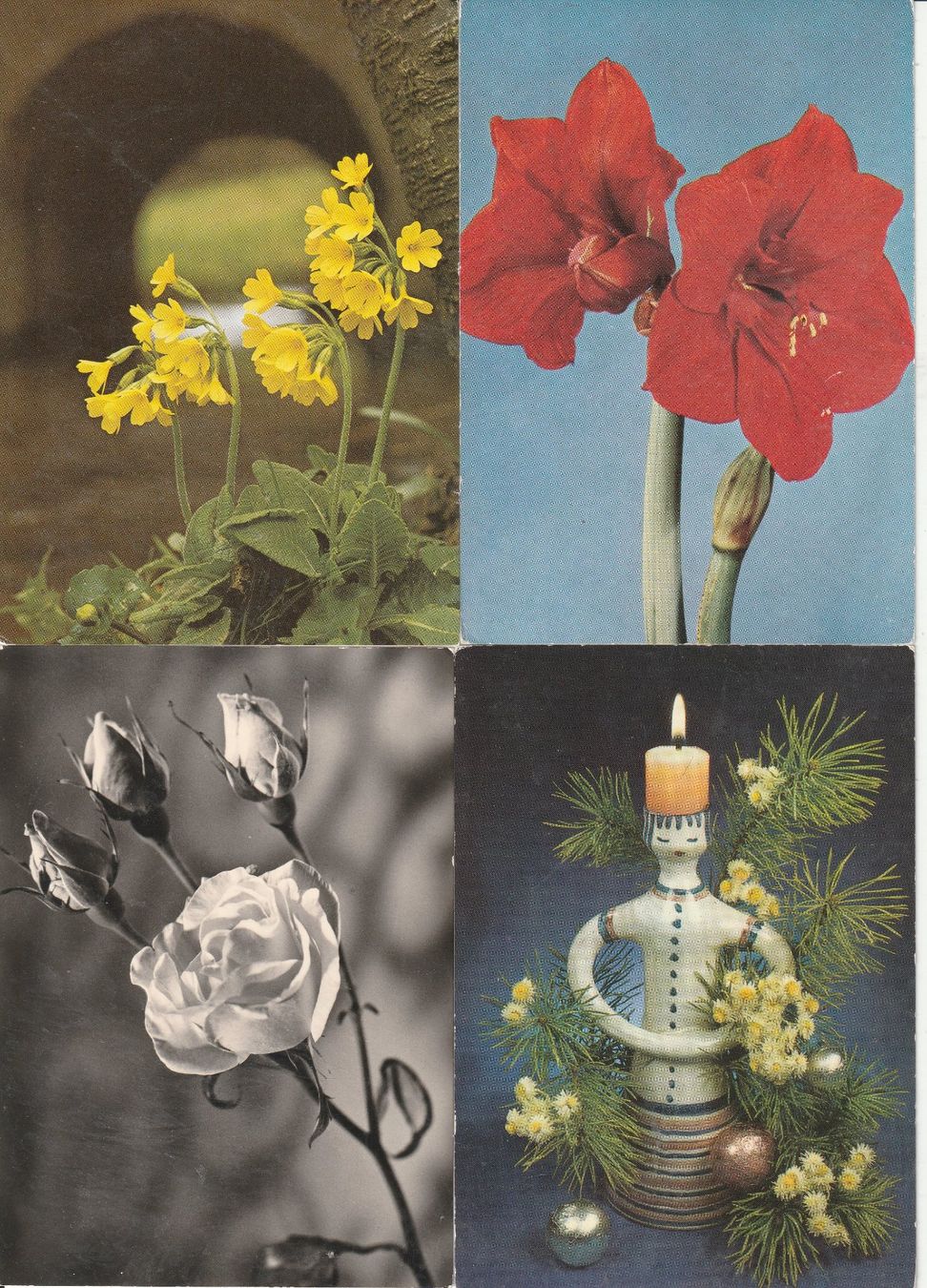 Cartes postales: 40 Diverse Blumenkarten – D'occasion à Lumbrein par made02 4