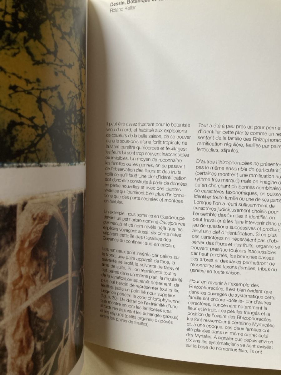 Libri: Katalog: Botaniques: science et art – Usato da Zürich venduto da 000rk 3