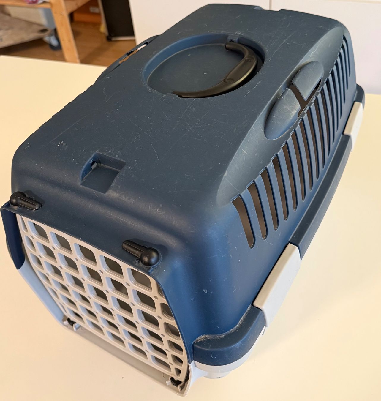 Gabbie, trasporto & Sicurezza: Transportbox – Usato da Olten venduto da jsc_trq6 2