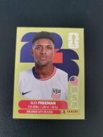 Panini FIFA World Cup Sticker USA 6