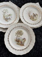 5 Assiettes en porcelaine 
