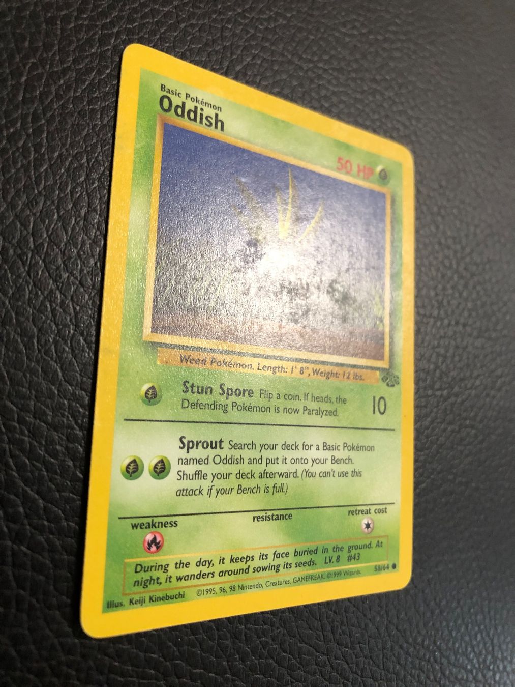 Pokémon Carte collezionabili: 1999 Jungle Oddish 58/64 Ab 1 – Usato da Paradiso venduto da Pkmn10 1