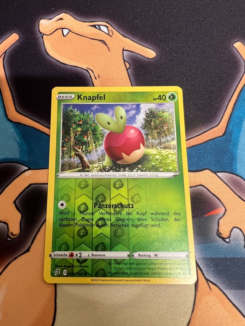 Pokémon Sammelbilder & Trading cards: Knapfel (RCL 21) - Reverse Holo - Clash der Rebellen – Neu (gemäss Beschreibung) aus Bülach von Pfrenzel