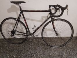 KOGA-MIYATA Pro TOP-Rennvelo