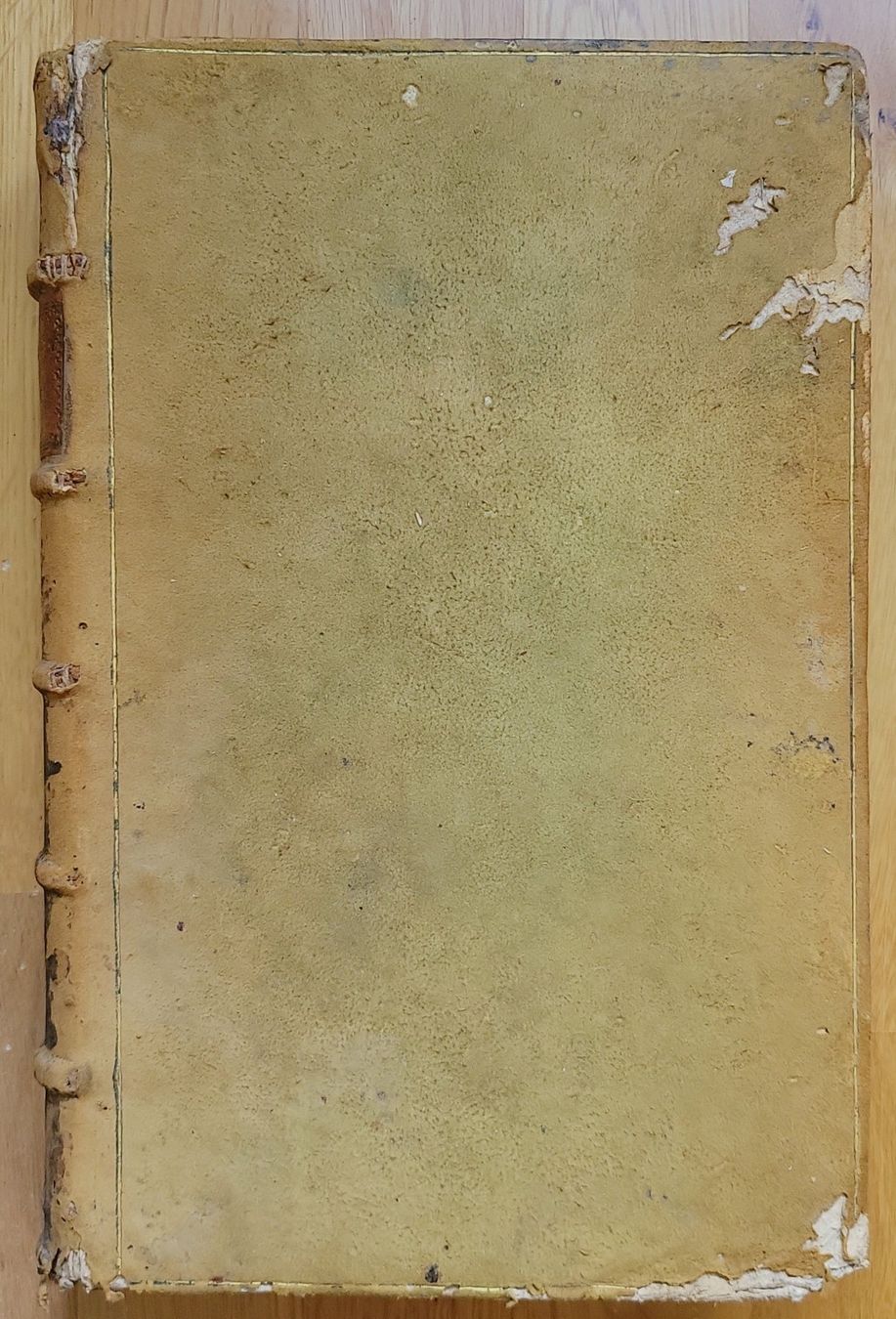 Libri: Antikes Buch, Gerichtsentscheide Neapel, 1600 – Usato da Muttenz venduto da Mithrur 9