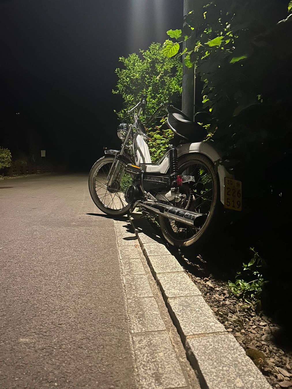 Puch Mofas: Puch Maxi S weiss – Gebraucht aus Heerbrugg von Manuela.Gschwend 9