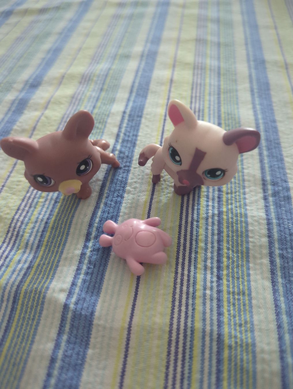 Littlest Pet Shop Giocattoli: littlest pet shop corgi Hunde  – Usato da Kloten venduto da sop_zxc9