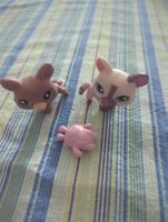littlest pet shop corgi Hunde 