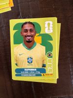 Panini Raphinha BRA 19 & viele mehr