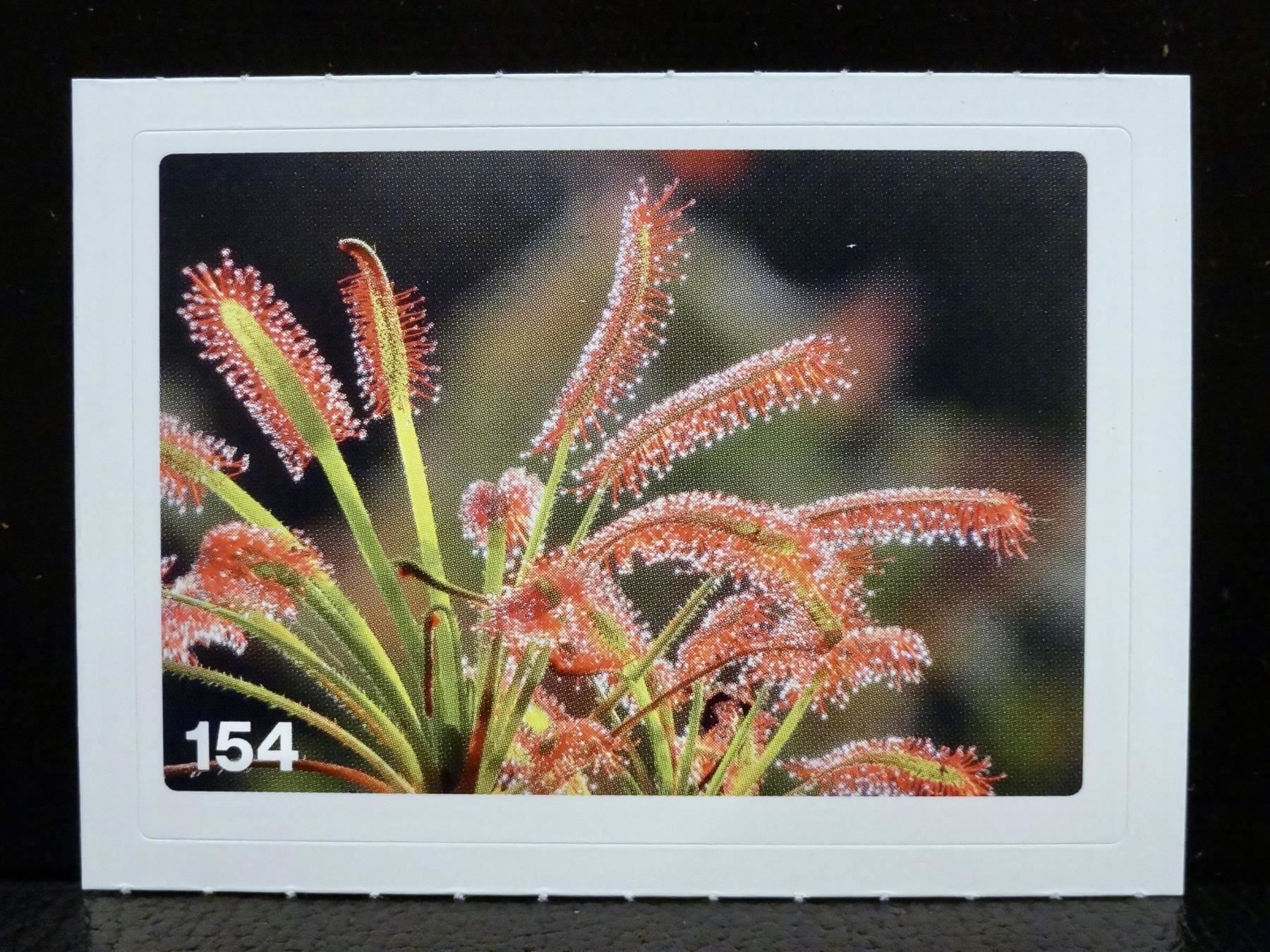 Migros Sammelbilder & Trading cards: MIGROS MANIA Nature Detectives Nr. 154 – Neu und originalverpackt aus Kerzers von zimmergruen