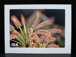 MIGROS MANIA Nature Detectives Nr. 154