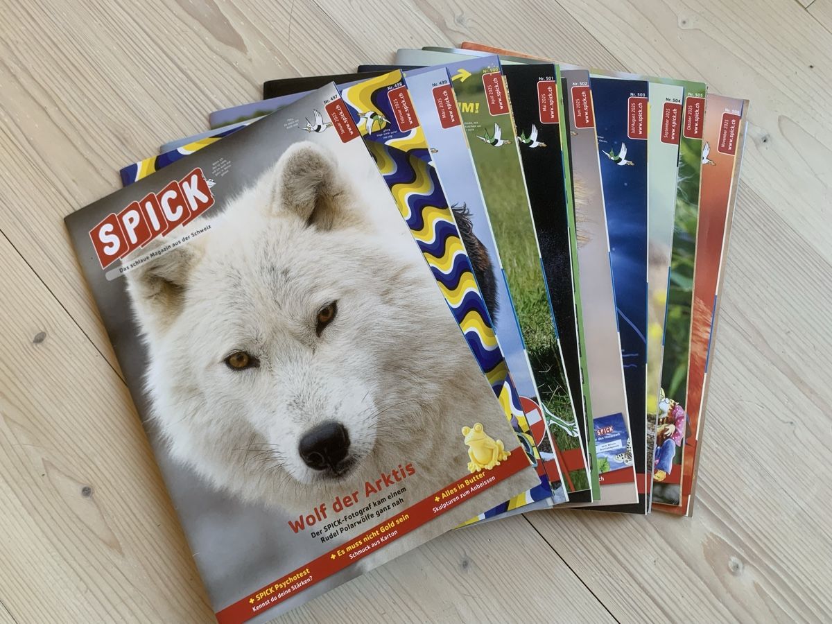 Riviste & Magazine: Spick 2025 (10 Hefte) – Usato da Biberist venduto da coffee13
