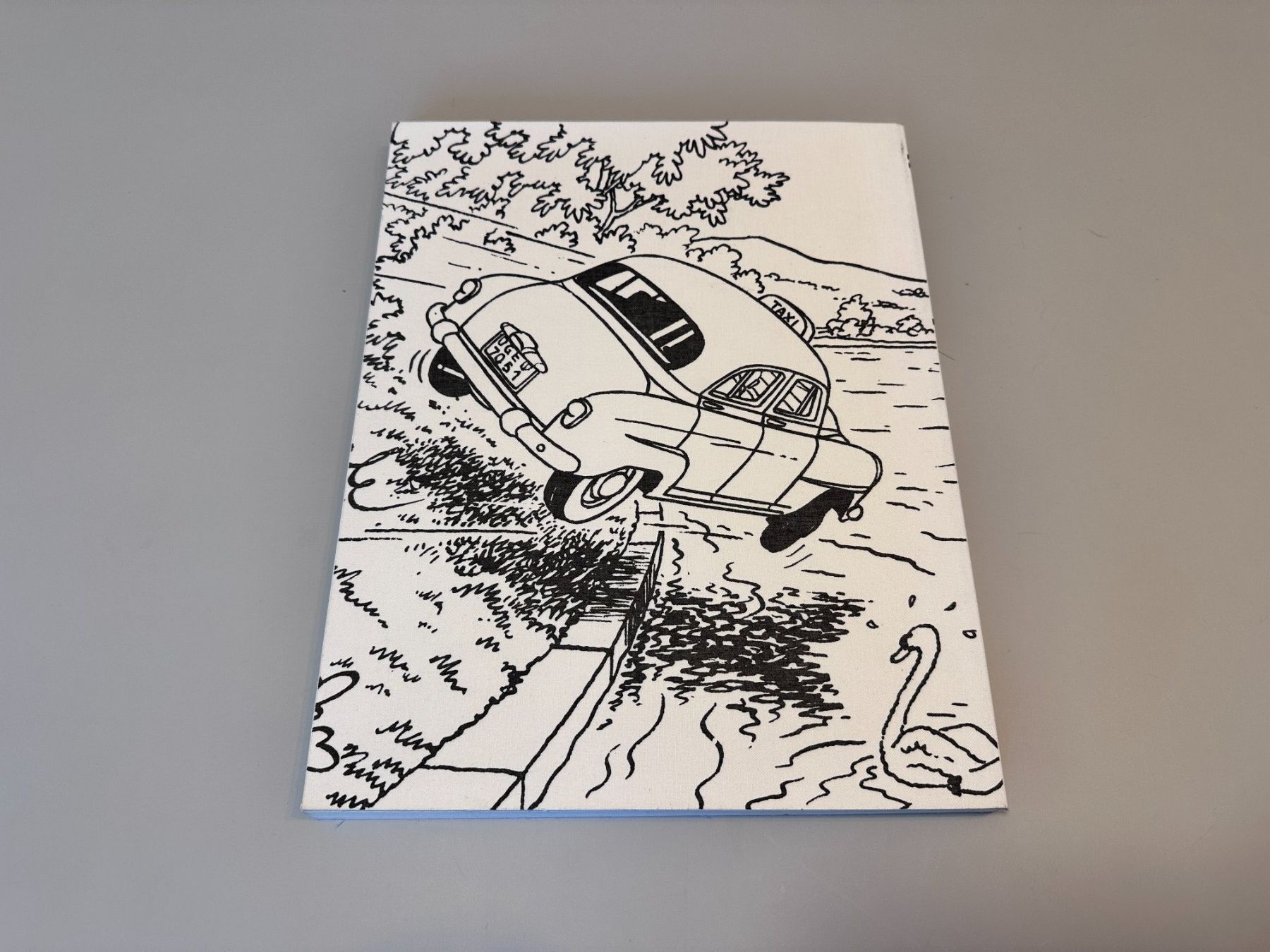 Bücher: Livre "Lemancolia" comme neuf! – Neu (gemäss Beschreibung) aus Sorengo von Littman 2