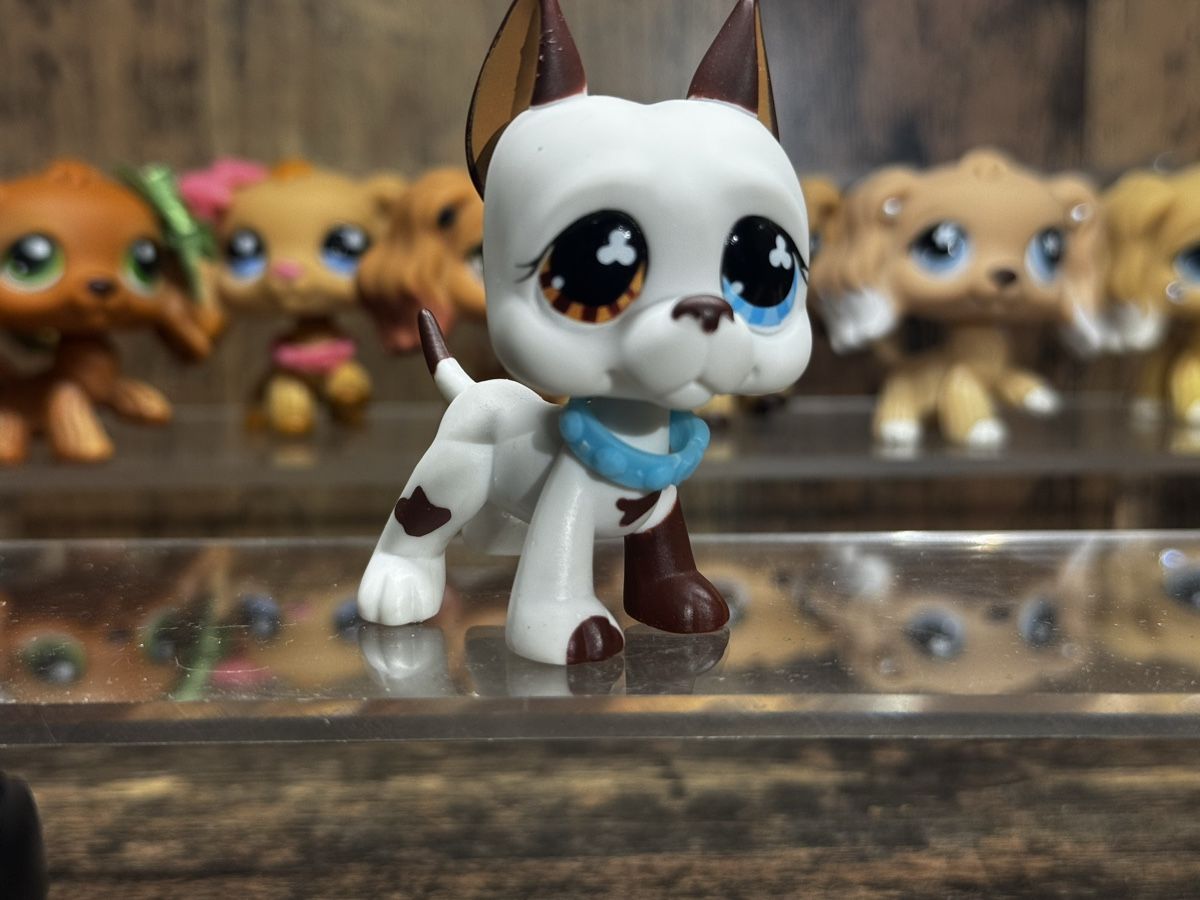 Spielzeuge: Littlest pet shop Great dane – Gebraucht aus Luzern von Maja.C