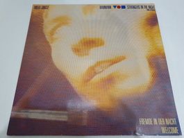 Baumann – Strangers In The Night