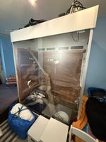 Grosses Terrarium weiss mit Rückwand