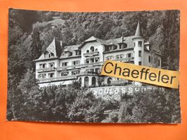 Credo-Jugend & Schloss Unspunnen Wilderswil