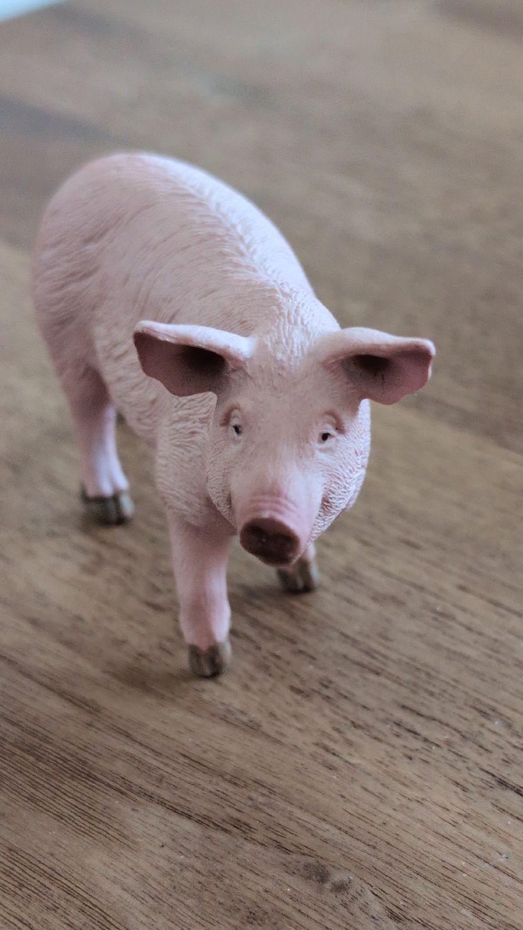Schleich Spielzeuge: 3 Stück Schweine von SCHLEICH – Neu und originalverpackt aus Rüfenach AG von sen_vbz6 3