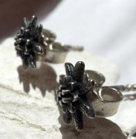 925 Silber Edelweiss Ohrstecker Rosenbox