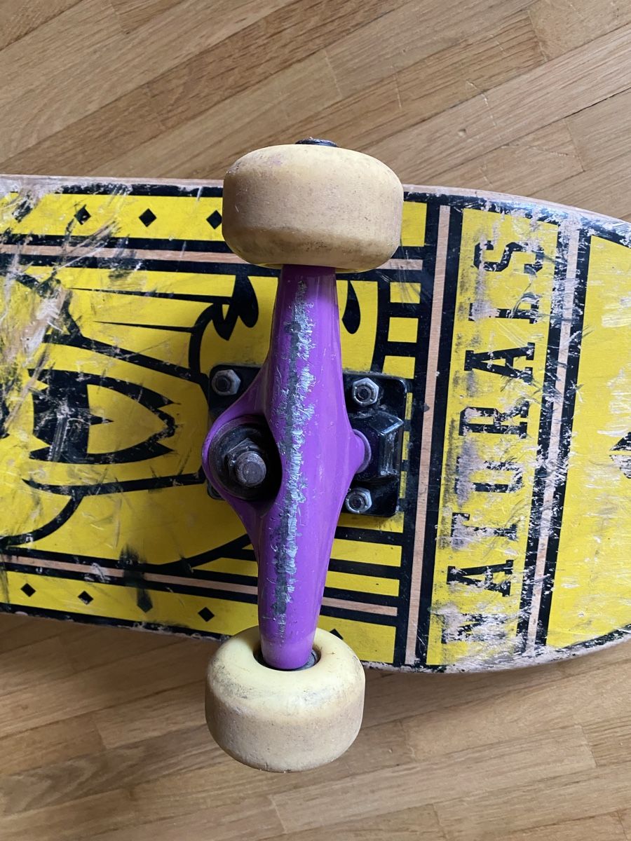Skateboards: Skateboard beach mountain,  gebraucht – Gebraucht aus Zürich von linlin02 2