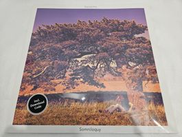 Daniel Fin - Somniloqui NEU (LP, Rock)