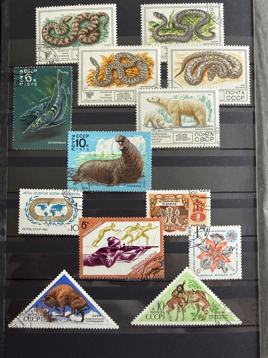Album: Briefmarken Sammlung 1/4 - vorwiegend Polen – Usato da Vaz/Obervaz venduto da rea_w8cv 3