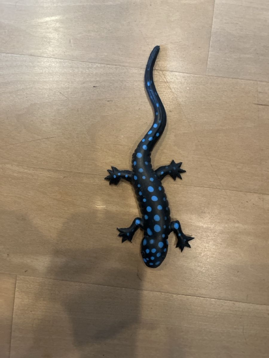 Spielzeuge: Ein blauer Feuersalamander – Neu (gemäss Beschreibung) aus Bern von Kanu21 1