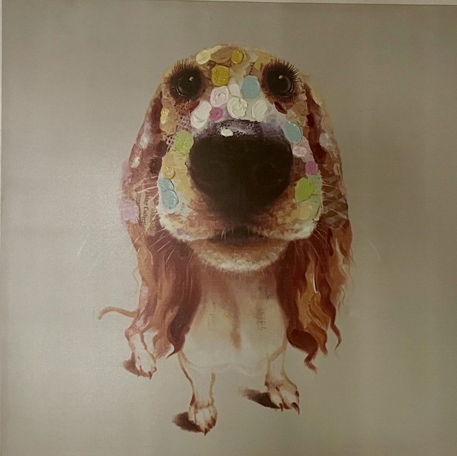 Foto & Immagini: Leinwandbild Hund (Pfister) – Nuovo (secondo la descrizione) da Suhr venduto da Checkitout