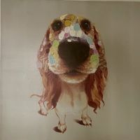 Leinwandbild Hund (Pfister)